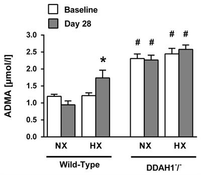 Upregulation of DDAH2 Limits Pulmonary Hypertension and Right Ventricular Hypertrophy During Chronic Hypoxia in Ddah1 Knockout Mice